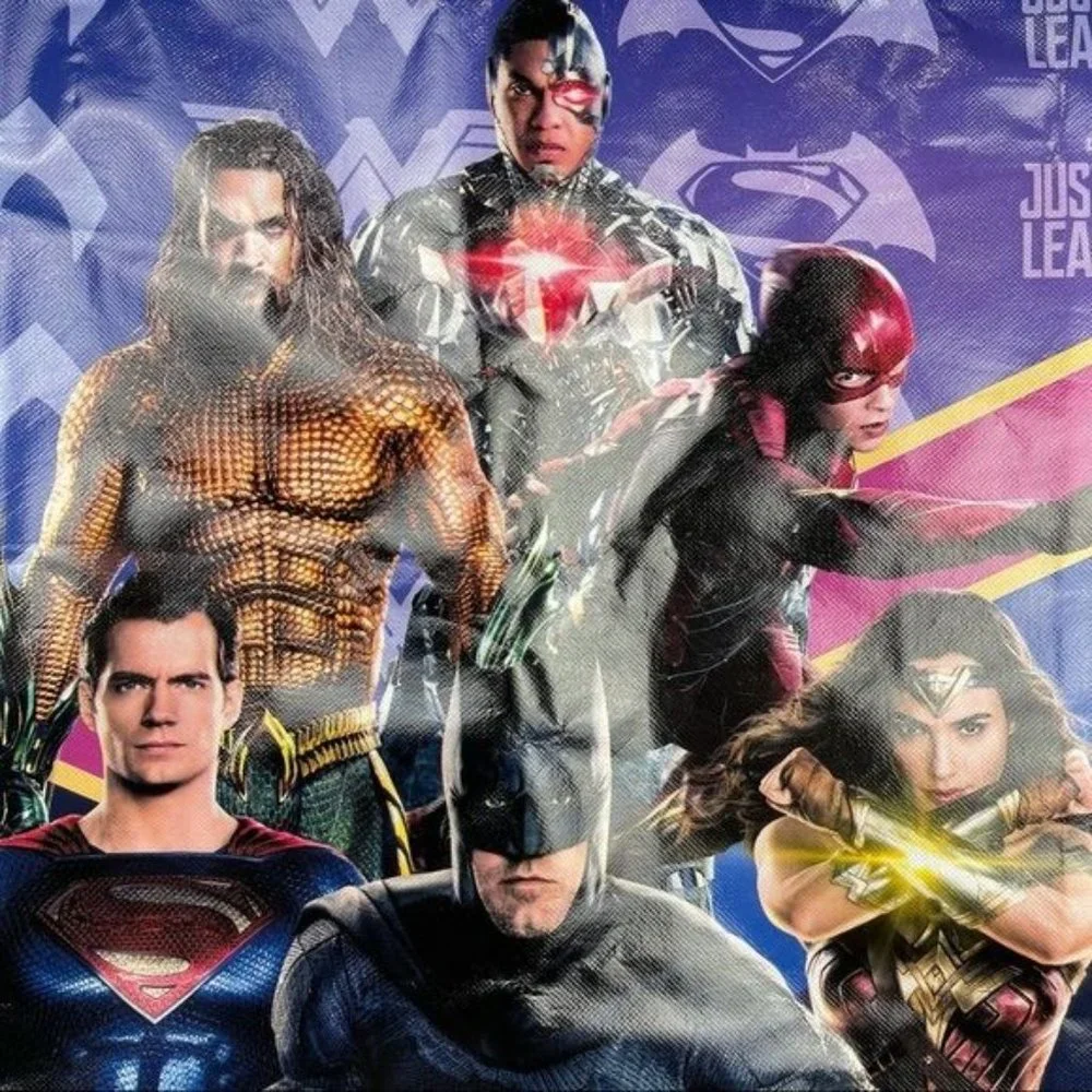 Warner Brothers Justice League Collectable Re-Usable Bag Backpack